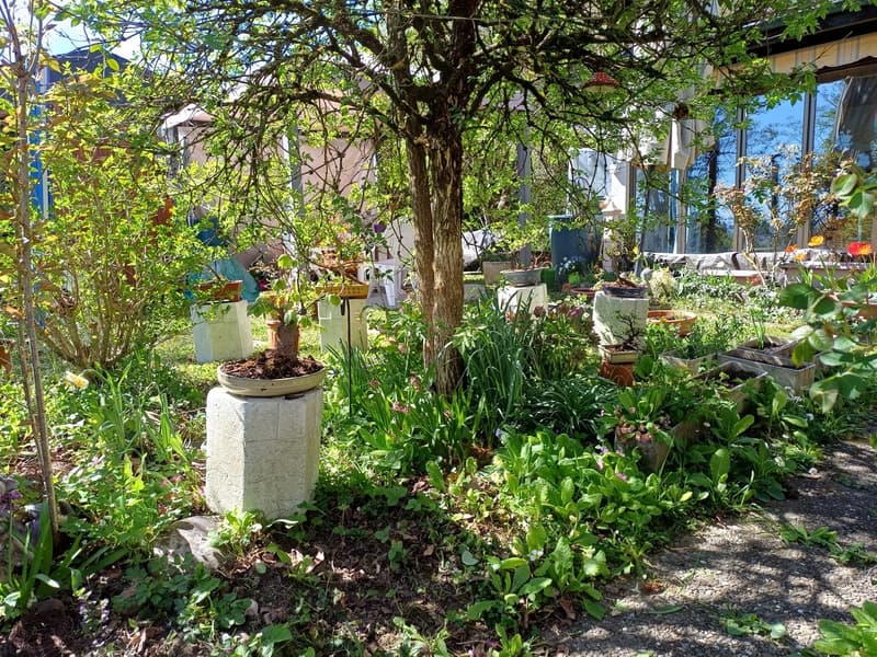Maison de famille confortable avec jardin idyllique dans la loi sur la construction (9)