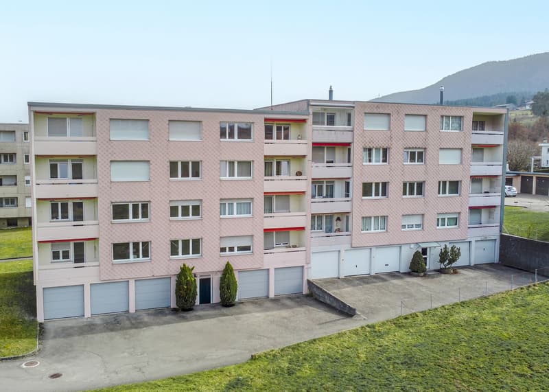 ATTRAYANT OBJET DE RENTE AVEC APPARTEMENTS RENOVES (1)
