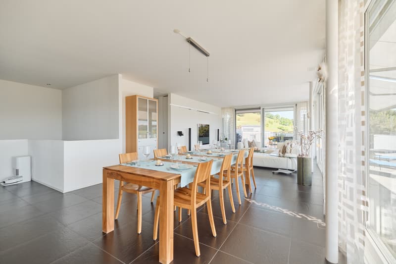 APPARTEMENT ATTIQUE DE LUXE AVEC STUDIO ET CAVE À VIN (4)
