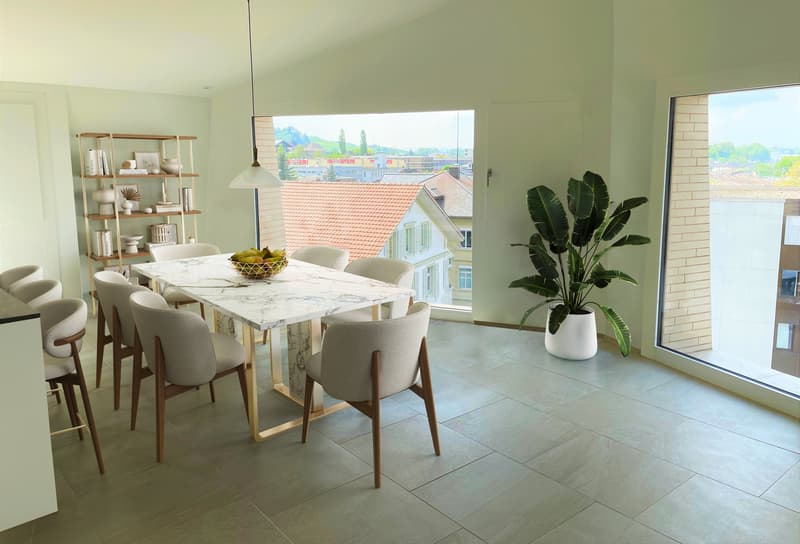 APPARTEMENT DE LUXE EN ATTIQUE AU-DESSUS DES TOITS DE BURGDORF (3)