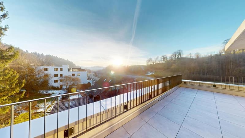 APPARTEMENT ATTIQUE EXCLUSIF À THÖRISHAUS (1)