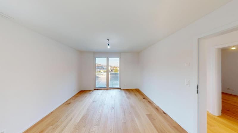 APPARTEMENT ATTIQUE EXCLUSIF À THÖRISHAUS (10)