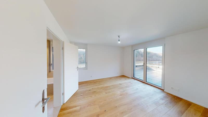 APPARTEMENT ATTIQUE EXCLUSIF À THÖRISHAUS (8)