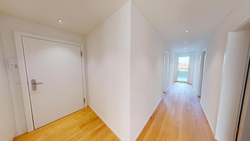 APPARTEMENT ATTIQUE EXCLUSIF À THÖRISHAUS (11)