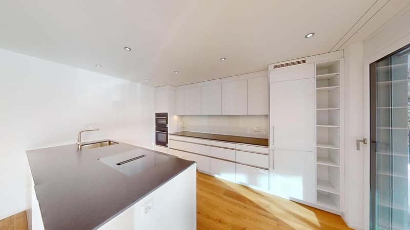 APPARTEMENT ATTIQUE EXCLUSIF À THÖRISHAUS (5)