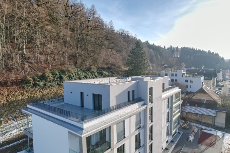 APPARTEMENT ATTIQUE EXCLUSIF À THÖRISHAUS (3)