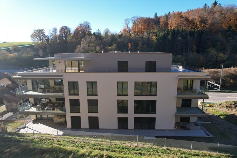 APPARTEMENT ATTIQUE EXCLUSIF À THÖRISHAUS (12)