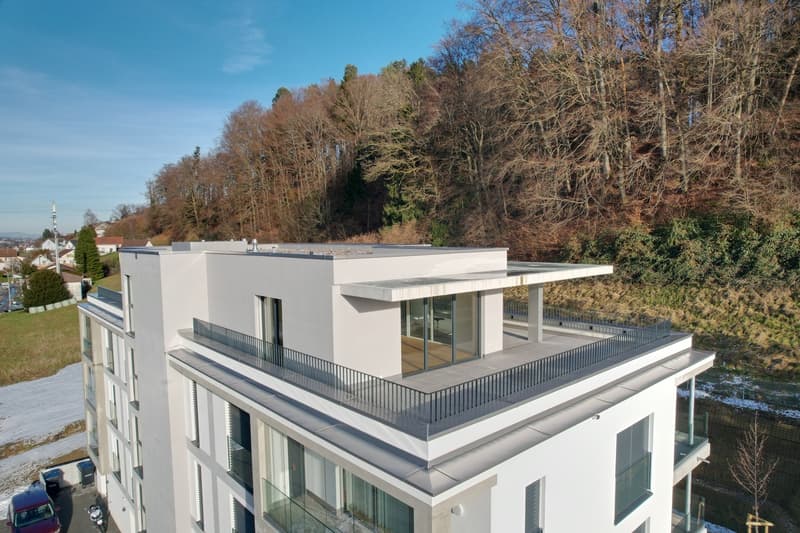APPARTEMENT ATTIQUE EXCLUSIF À THÖRISHAUS (2)