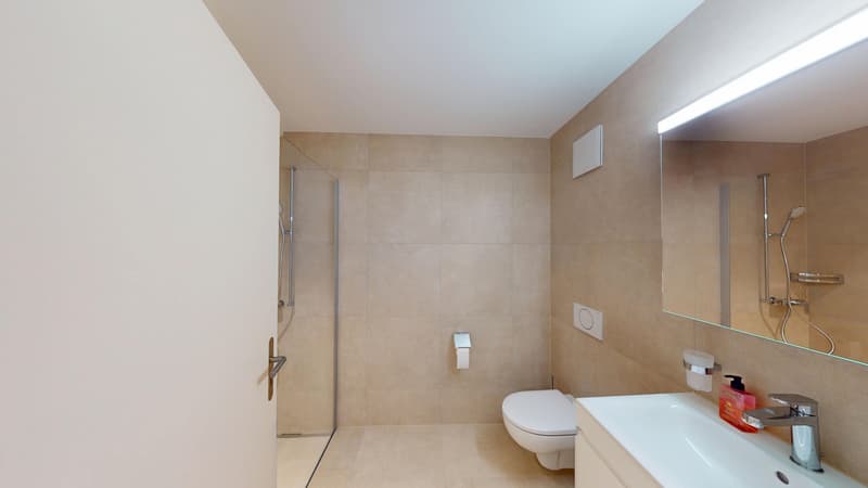 APPARTEMENT ATTIQUE EXCLUSIF À THÖRISHAUS (6)