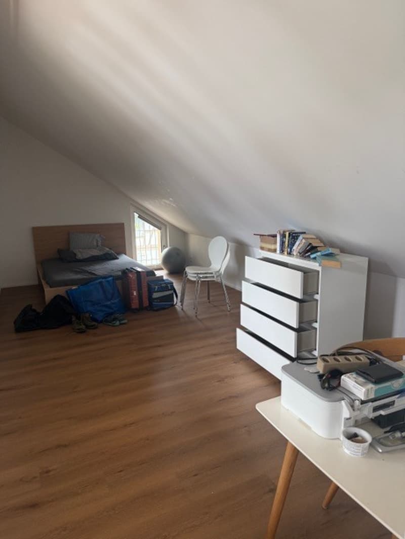 CHARMANTE DACHWOHNUNG IM HISTORISCHEN HOF DES SCHLÖSSLI RUBIGEN (3)