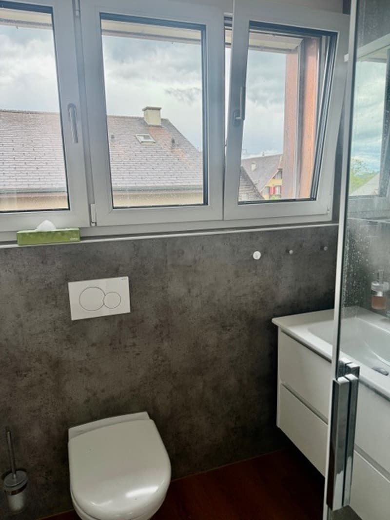 CHARMANTE DACHWOHNUNG IM HISTORISCHEN HOF DES SCHLÖSSLI RUBIGEN (5)