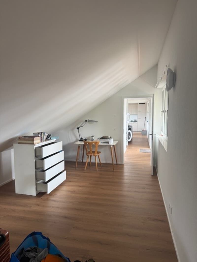 CHARMANTE DACHWOHNUNG IM HISTORISCHEN HOF DES SCHLÖSSLI RUBIGEN (7)