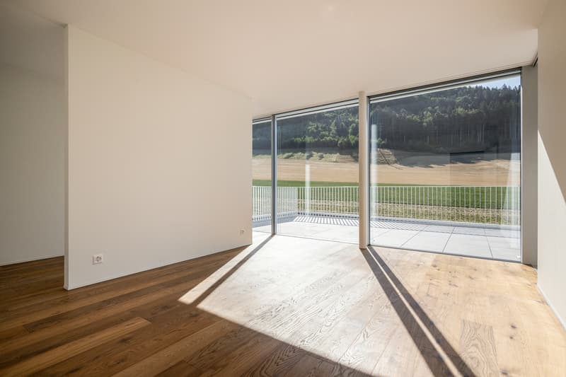 EDLE ATTIKA MIT EINMALIGER AUSSICHT UND DESIGN (8)