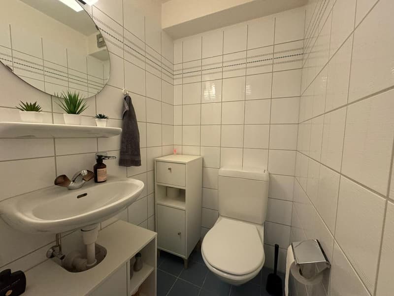 3.5-ZIMMERWOHNUNG MIT GALERIE IN RUBIGEN (11)
