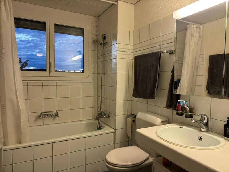 3.5-ZIMMERWOHNUNG MIT GALERIE IN RUBIGEN (9)