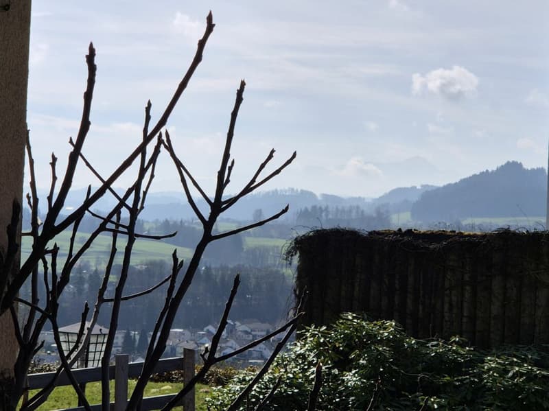 Building land in prime location in Uzwil (3)