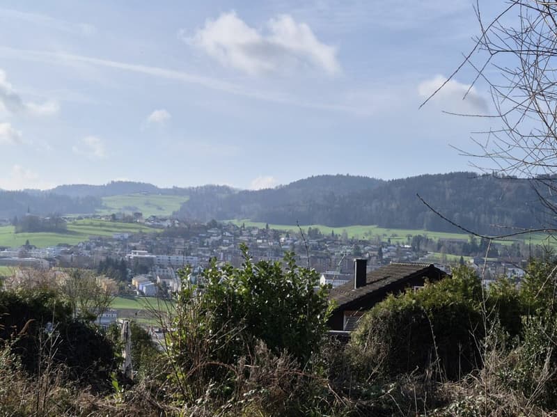 Building land in prime location in Uzwil (2)