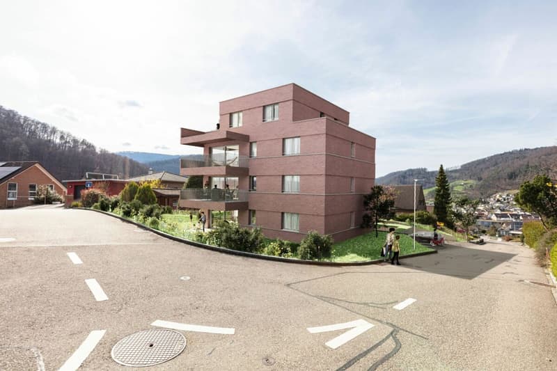 Newly built 2.5-room apartment with a view (6)