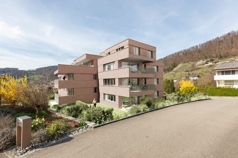 Newly built 3.5-room apartment with panoramic view (4)
