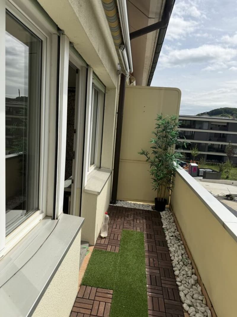 Appartamento di 3.5 locali con balcone e parcheggio esterno (12)