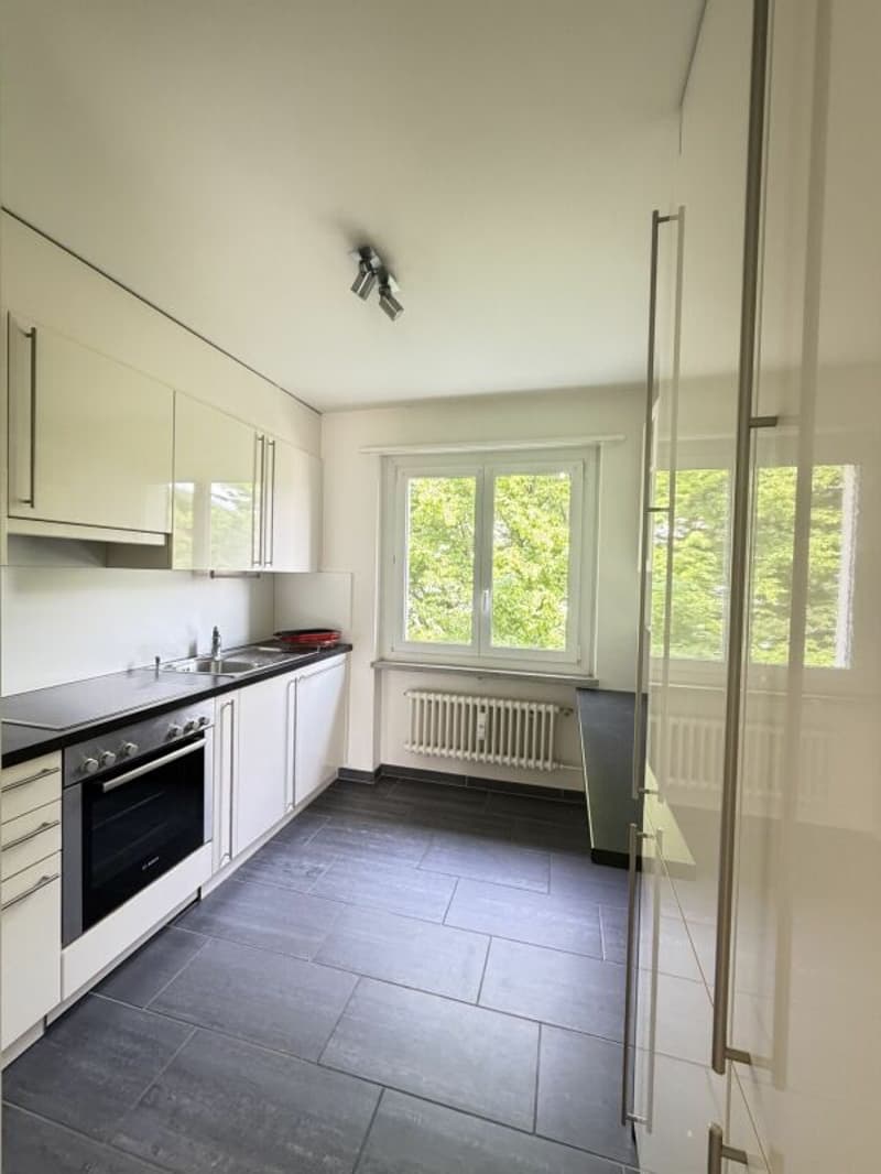 Appartamento di 3.5 locali con balcone e parcheggio esterno (4)