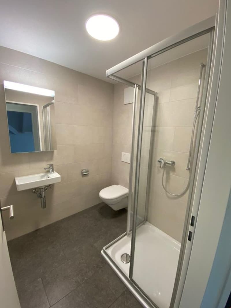 Appartement-maisonnette moderne de 4,5 pièces avec grand balcon (8)