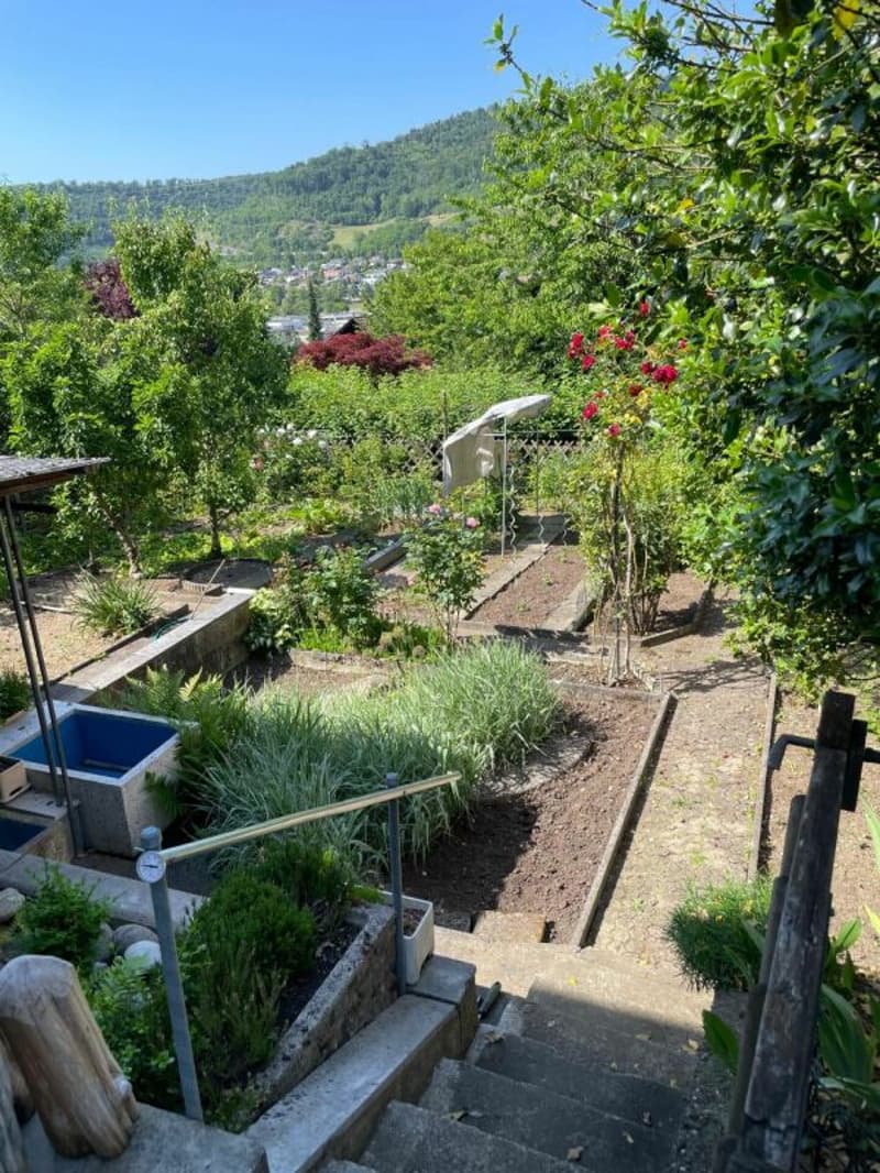 6.5-Zimmer-Doppeleinfamilienhaus (8)