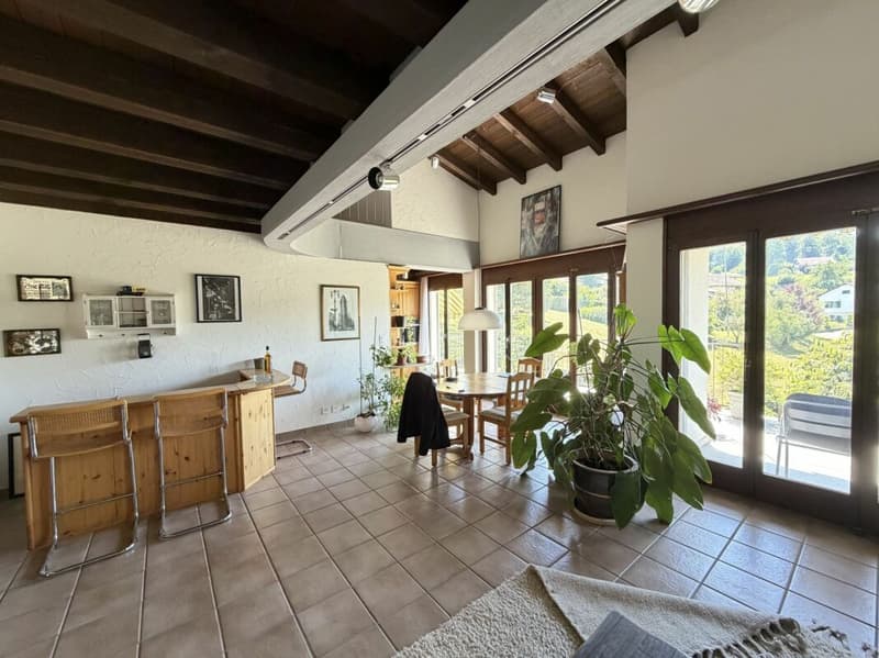 Casa a schiera di 5,5 locali con area circostante (12)