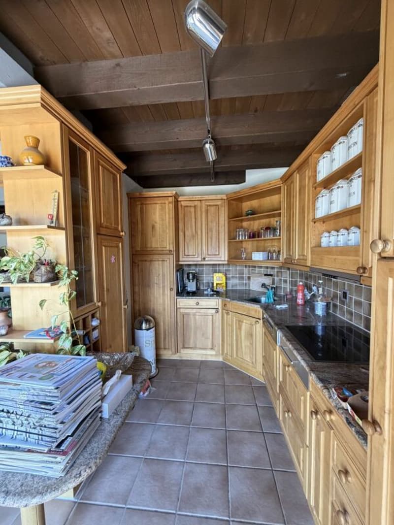 Casa a schiera di 5,5 locali con area circostante (18)