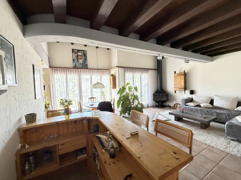 Casa a schiera di 5,5 locali con area circostante (14)
