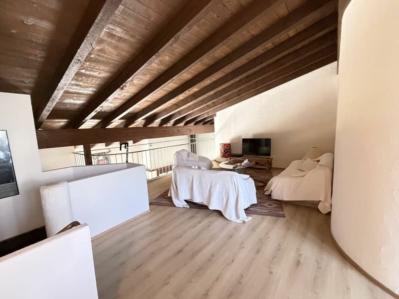 Casa a schiera di 5,5 locali con area circostante (23)