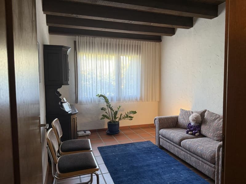 Casa a schiera di 5,5 locali con dintorni (17)