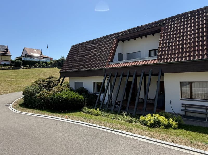 Casa a schiera di 5,5 locali con dintorni (4)