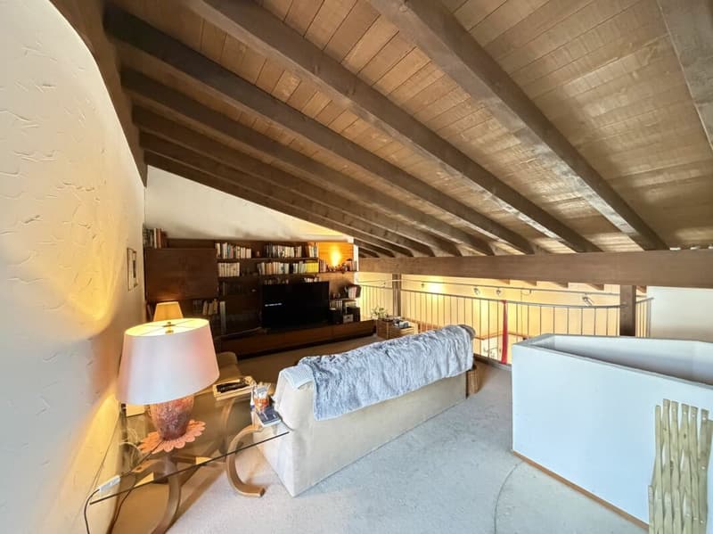 Casa a schiera di 5,5 locali con dintorni (22)