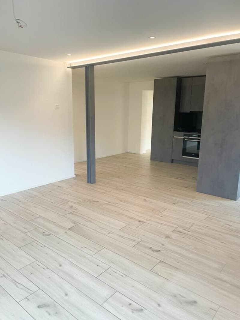 Renovierte 3.5 Zimmer-Gartenwohnung inkl. PP (16)