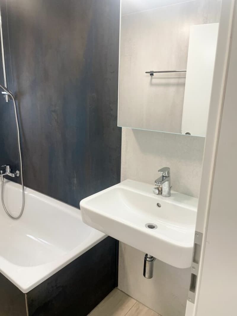 Renovierte 3.5 Zimmer-Gartenwohnung inkl. PP (8)