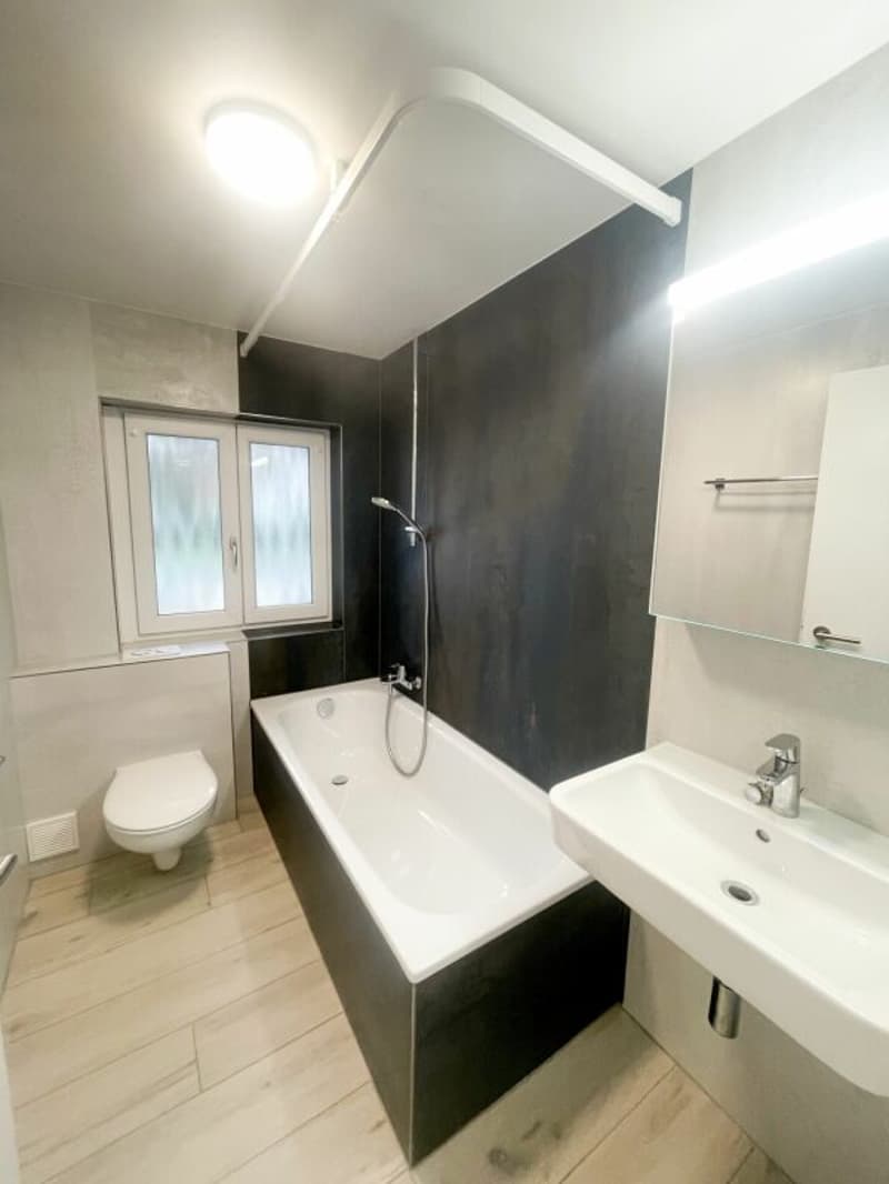 Renovierte 3.5 Zimmer-Gartenwohnung inkl. PP (6)