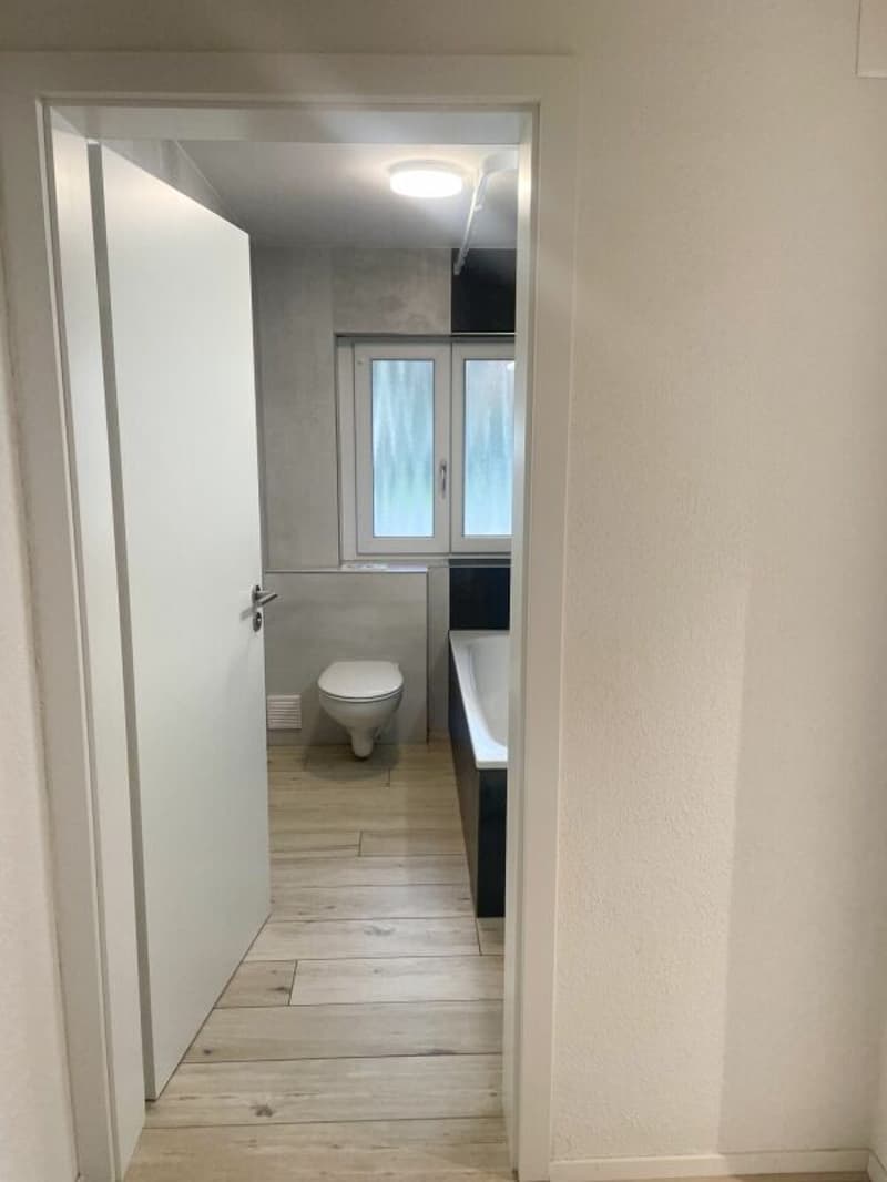 Renovierte 3.5 Zimmer-Gartenwohnung inkl. PP (17)