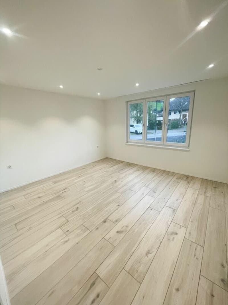 Renovierte 3.5 Zimmer-Gartenwohnung inkl. PP (9)