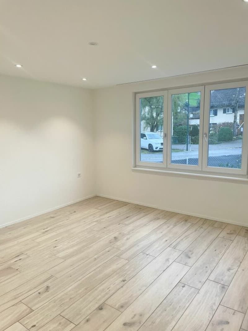 Renovierte 3.5 Zimmer-Gartenwohnung inkl. PP (10)