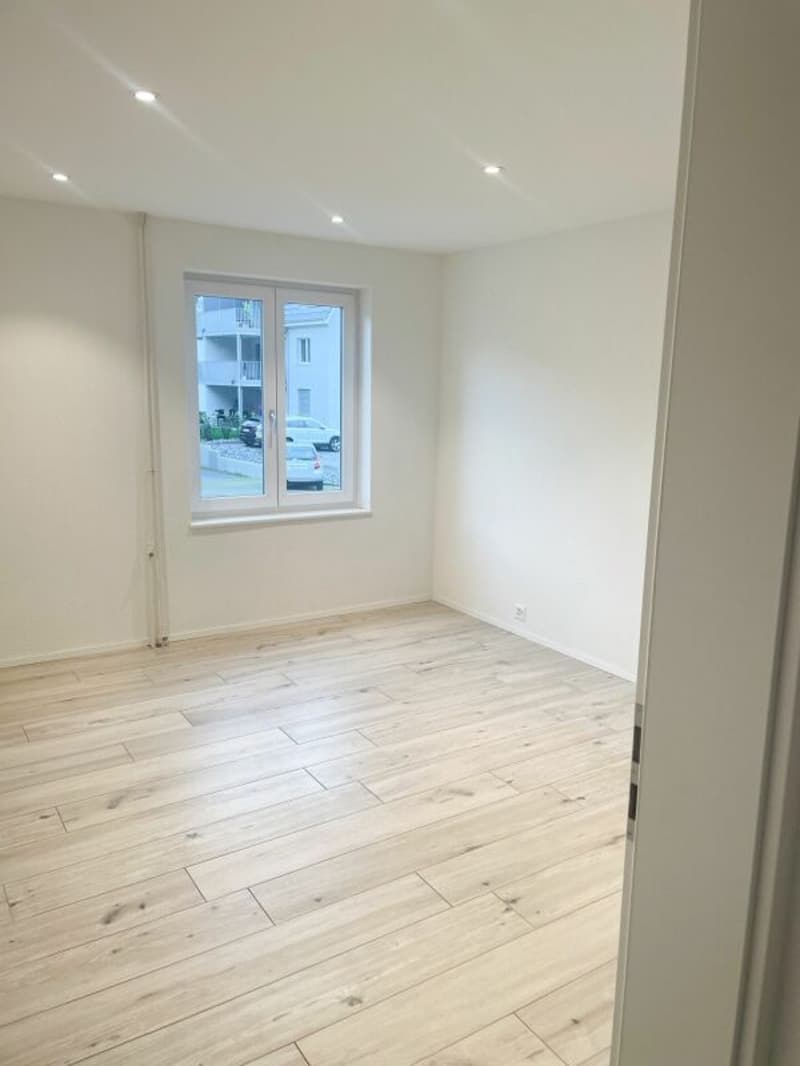 Renovierte 3.5 Zimmer-Gartenwohnung inkl. PP (15)