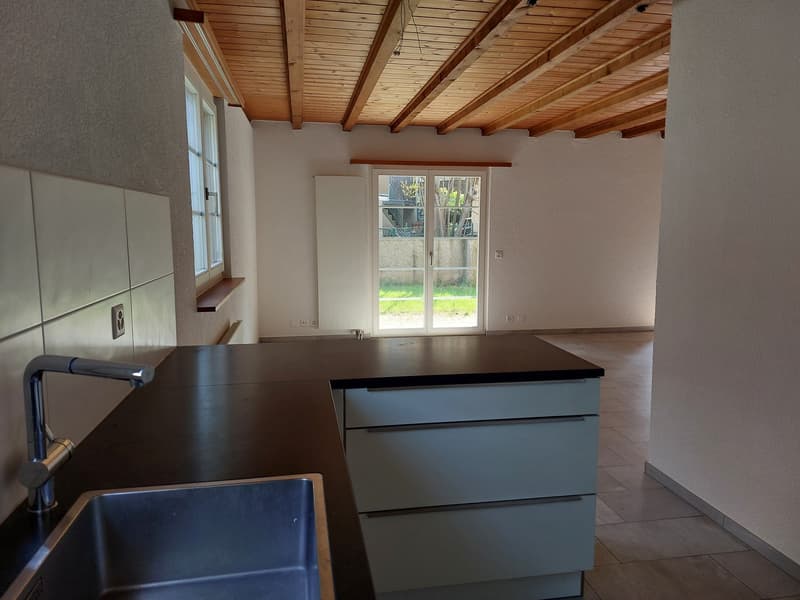 Stylish living in a quiet neighborhood (3)