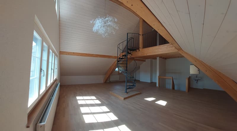 Stylish living in a quiet neighborhood (9)