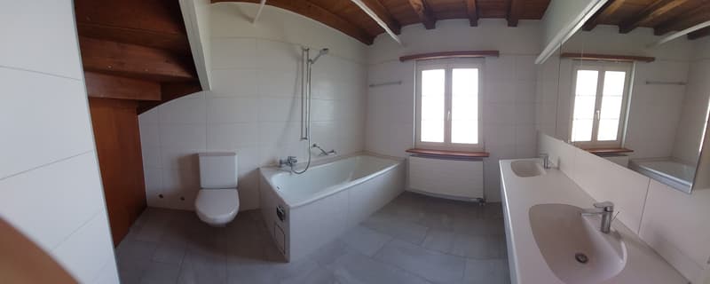Stylish living in a quiet neighborhood (6)