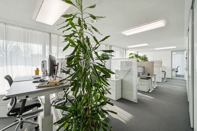 Bureaux rénovés de haute qualité dans un emplacement central (5)