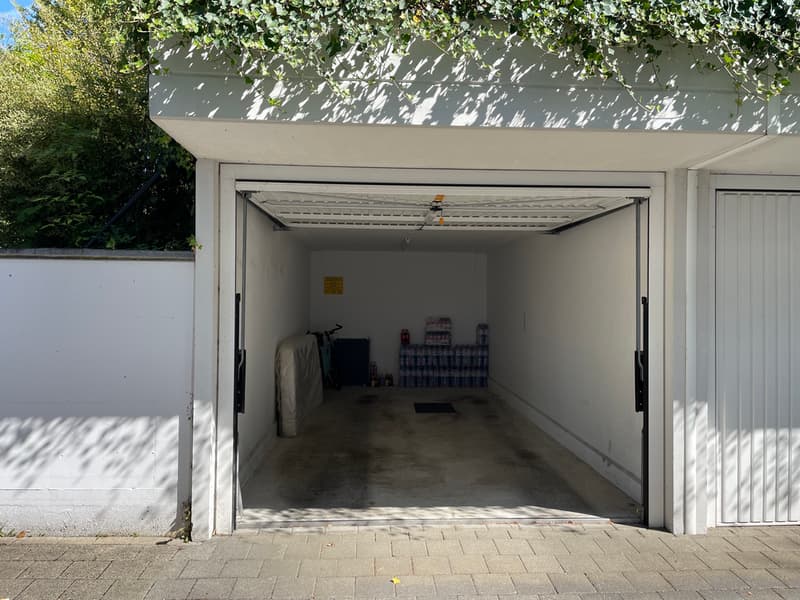 Tolle 4.5-Zimmer-Dachwohnung mit Terrasse inklusive eigener Garage (10)