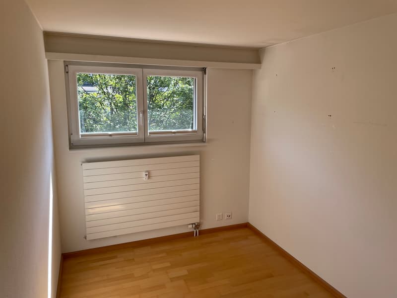 Tolle 4.5-Zimmer-Dachwohnung mit Terrasse inklusive eigener Garage (3)