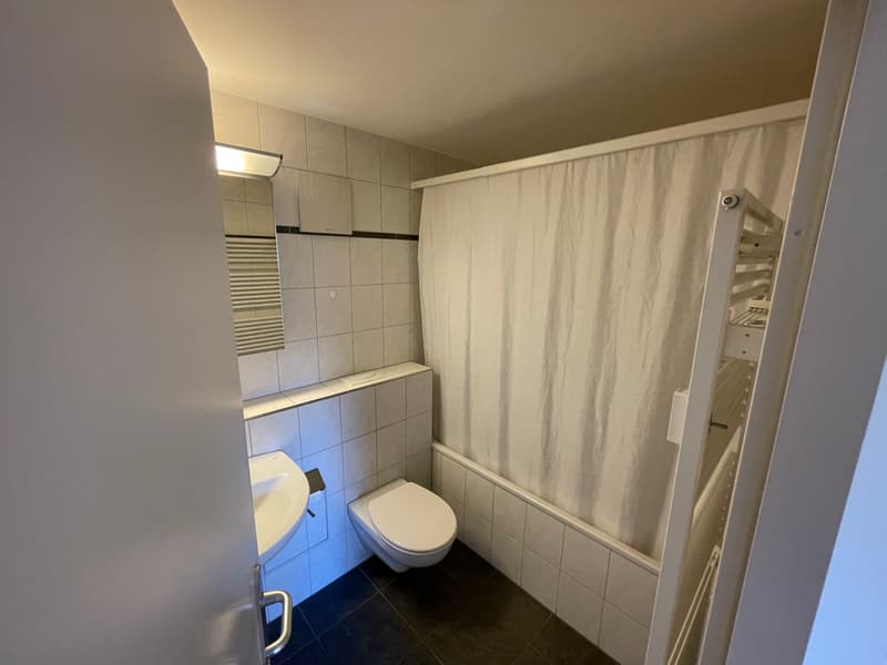 Tolle 4.5-Zimmer-Dachwohnung mit Terrasse inklusive eigener Garage (8)