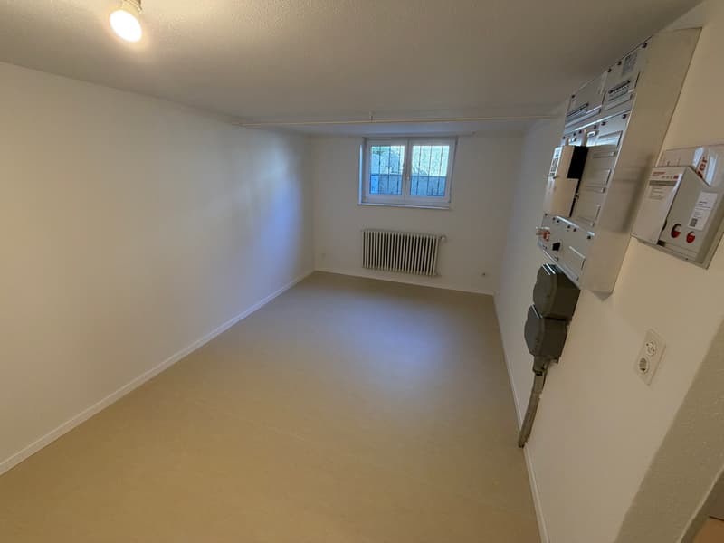 Newly renovated 4.5-room corner row house (11)