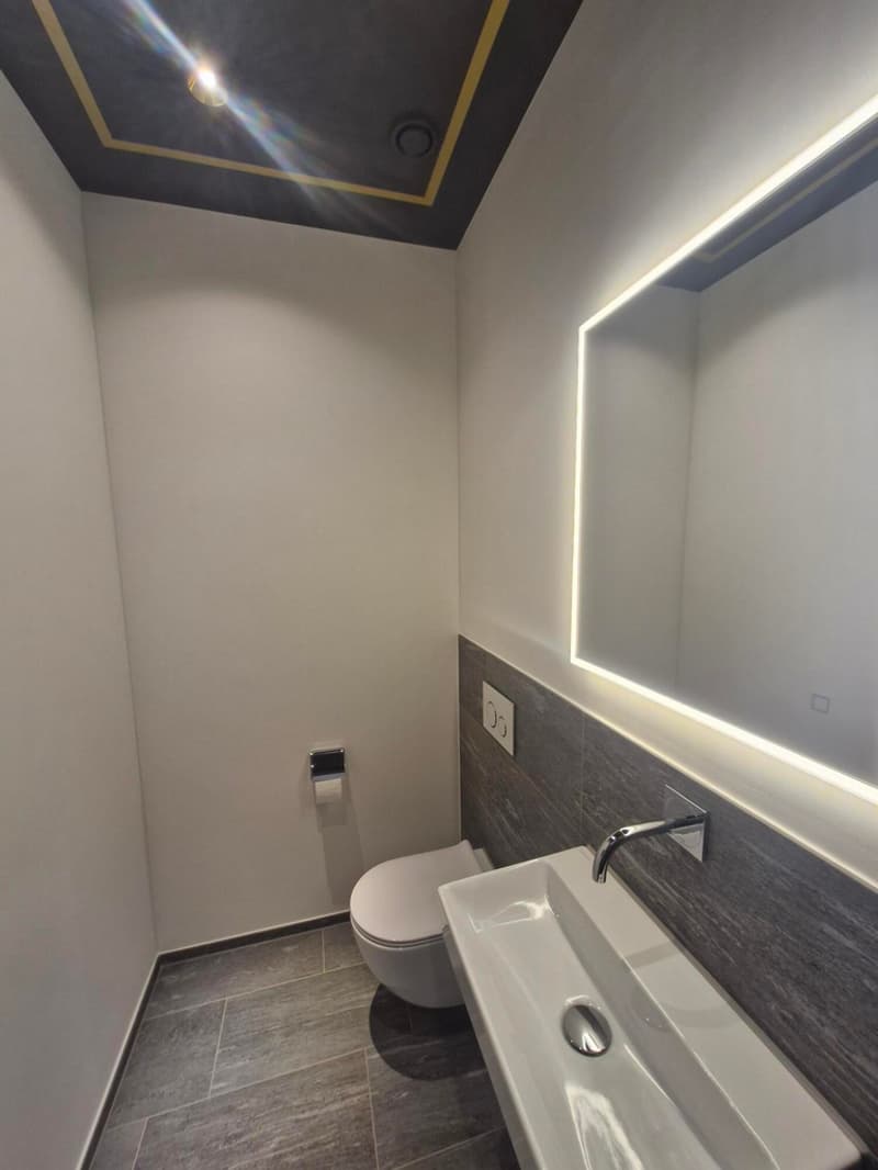 Hochwertig ausgebaute Bürofläche an bester Lage am Löwenplatz (7)